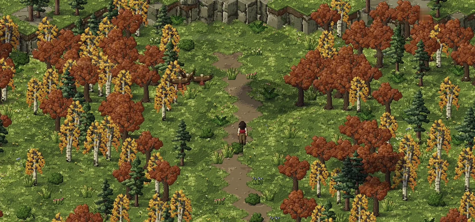 Birch woods in autumn