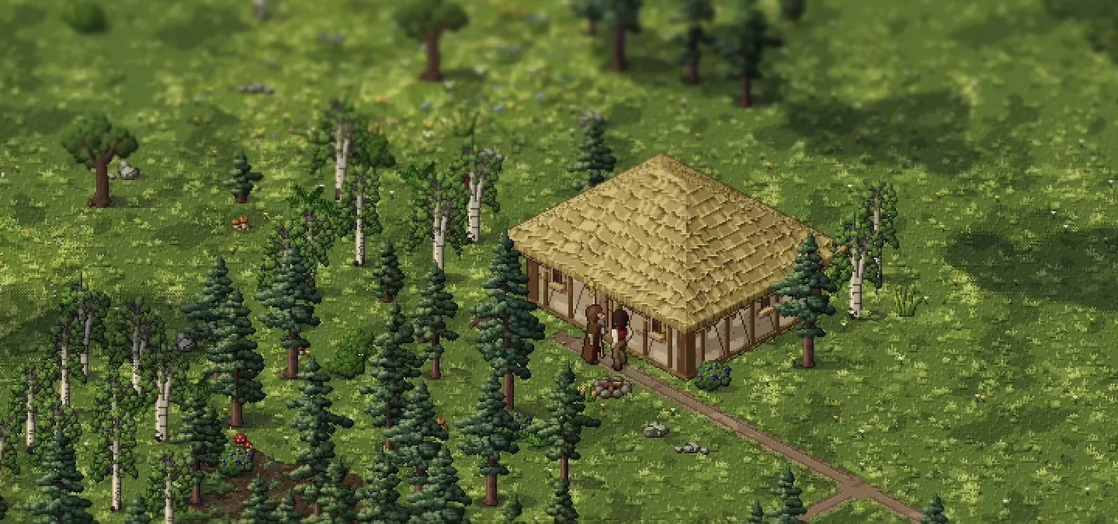 A thatched house among pines and birch on Hollow Vale